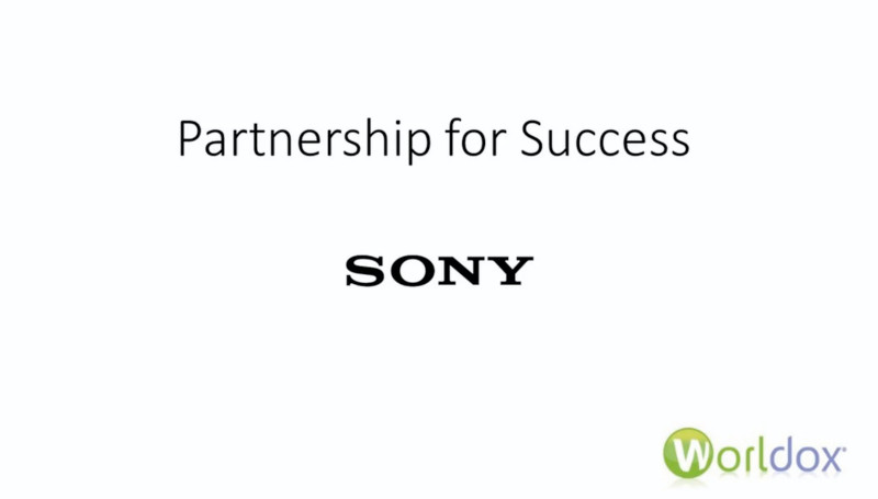 Partnership for Sucess - Sony